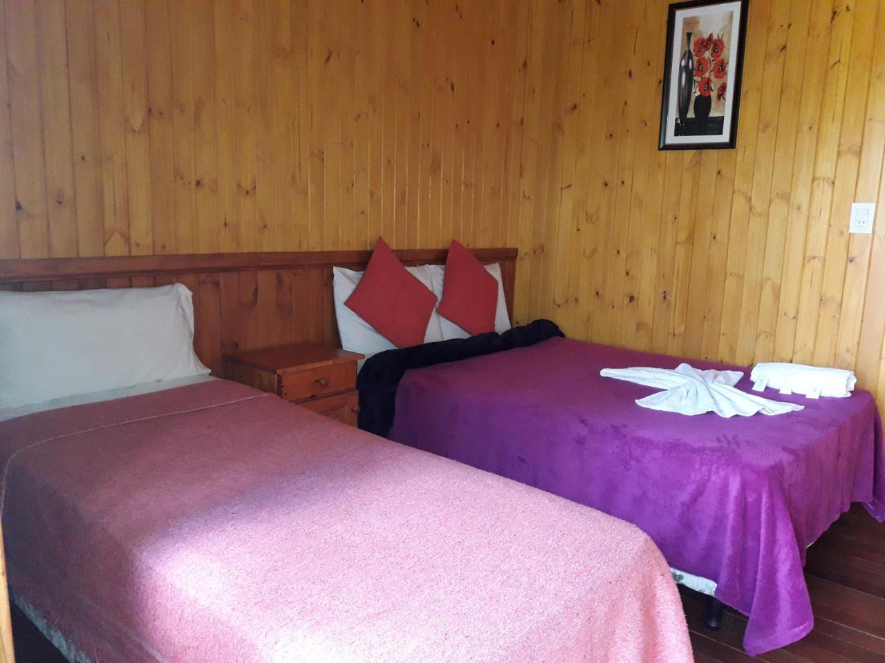 Petit Hotel Caraguata Puerto Iguazú Extérieur photo